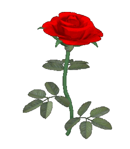 Animated rotating rose